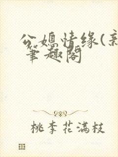 公媳情缘(新) 笔趣阁封面