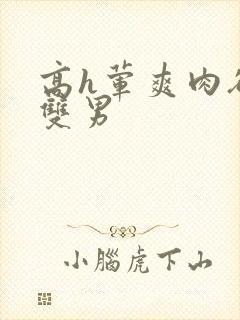 高h荤爽肉欲文双男