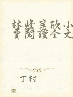 林峰宁欣小说免费阅读全文最新章节宁饮