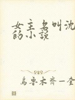 女主名叫沈晏清的小说