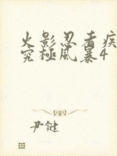 火影忍者疾风传究极风暴4