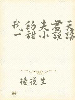 我的夫君天下第一甜小说讲的什么