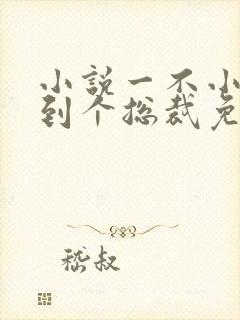 小说一不小心捡到个总裁免费阅读封面