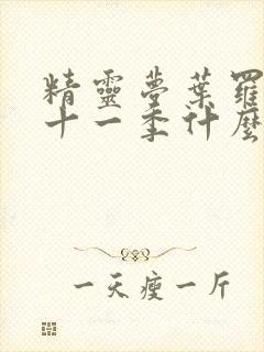 精灵梦叶罗丽第十一季什么时候更新