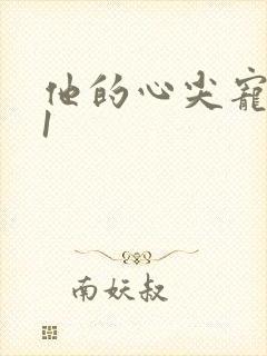 他的心尖宠1v1封面