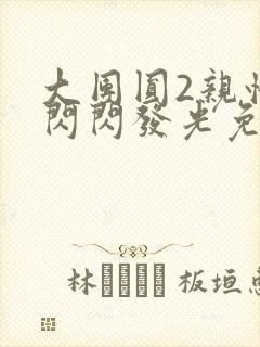 大团圆2亲情会闪闪发光免费