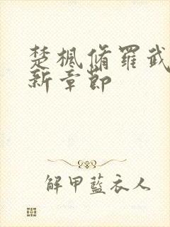 楚枫修罗武神全新章节