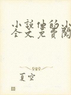 小说他的小仙女全文免费阅读