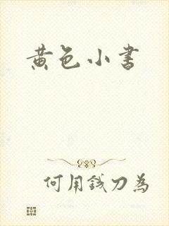 黄色小书