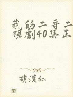 我的二哥二嫂电视剧40集正片
