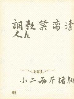 调教禁脔清冷美人h封面