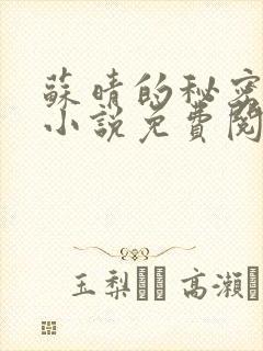 苏晴的秘密全文小说免费阅读