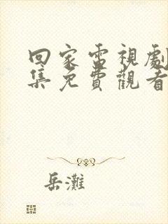 回家电视剧40集免费观看