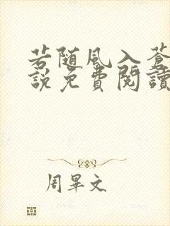 若随风入苍穹小说免费阅读无弹窗