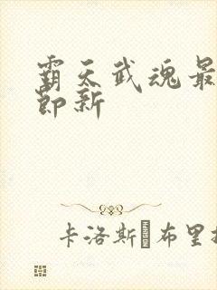 霸天武魂最新章节新封面