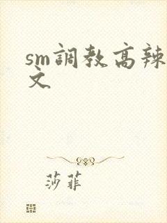 sm调教高辣h文