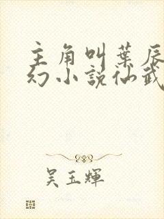 主角叫叶辰的玄幻小说仙武帝尊封面