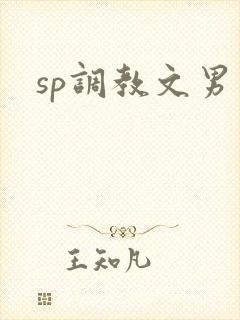 sp调教文男男