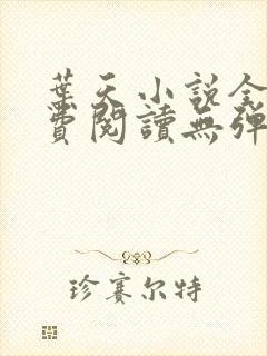 叶天小说全文免费阅读无弹窗