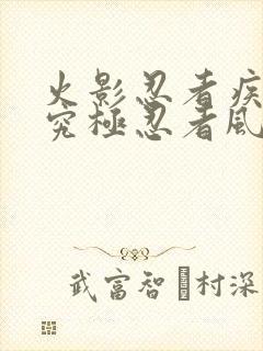 火影忍者疾风传究极忍者风暴4