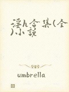 淫h合集(全黄)小说