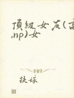 顶级女友(高h,np)女封面