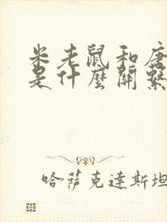 米老鼠和唐老鸭是什么关系封面