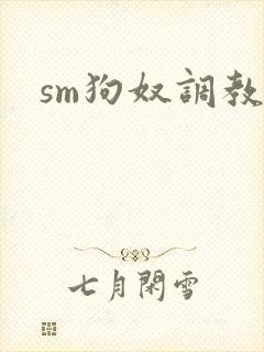 sm狗奴调教文