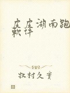 皮皮湖南跑胡子软件