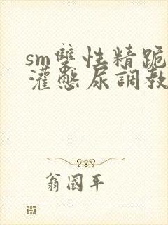 sm双性精跪趴灌憋尿调教视频封面