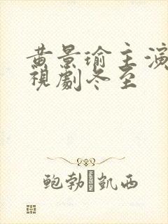 黄景瑜主演的电视剧冬至