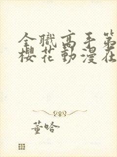 全职高手第3季樱花动漫在线观看封面