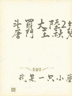 斗罗大陆2绝世唐门 王秋儿