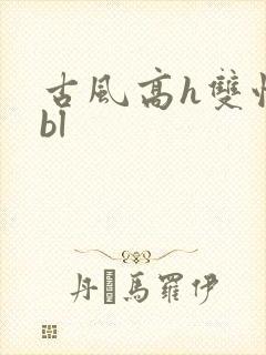 古风高h双性受bl封面