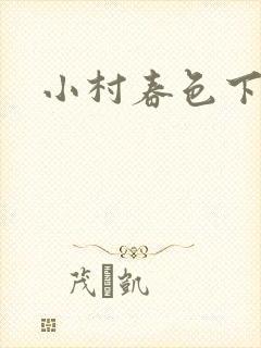 小村春色下载
