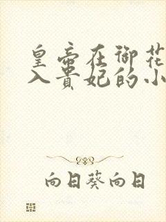 皇帝在御花园进入贵妃的小说封面