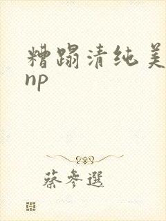 糟蹋清纯美人受np