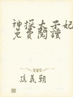 神探太子妃小说免费阅读封面