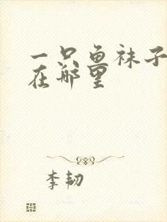 一只鱼袜子厂家在哪里封面