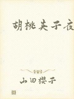 胡桃夹子夜未眠