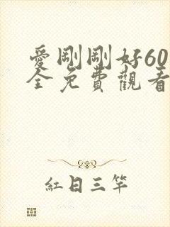 爱刚刚好60集全免费观看电视剧