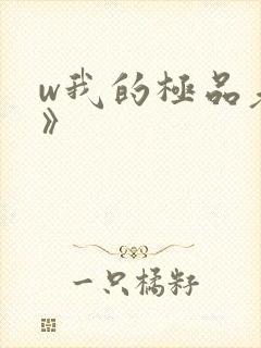w我的极品老婆》