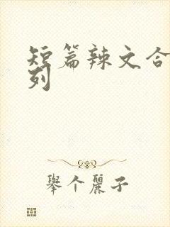 短篇辣文合集系列