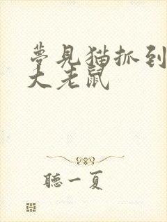 梦见猫抓到一只大老鼠