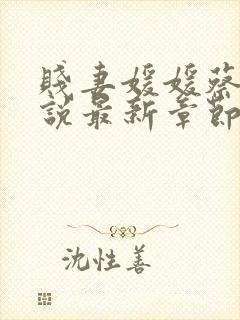 贱妻媛媛蔡叔小说最新章节更新