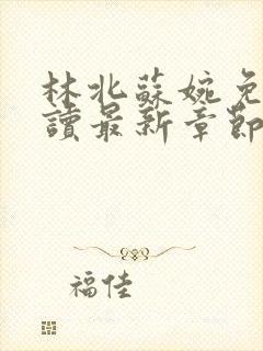 林北苏婉免费阅读最新章节笔趣阁