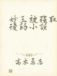 妙玉被强取豪夺后的小说封面