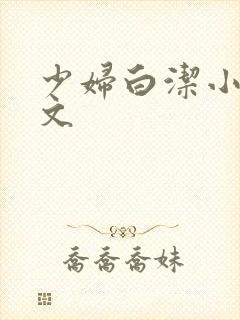 少妇白洁小说全文