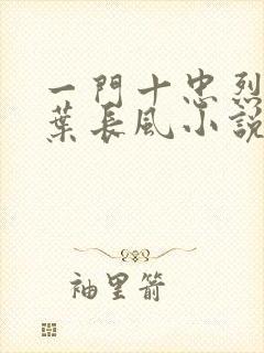 一门十忠烈叶凡叶长风小说名字