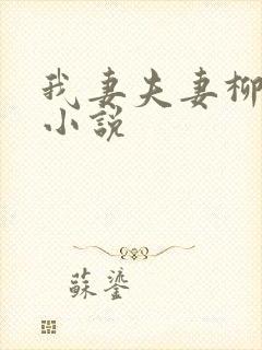 我妻夫妻柳如烟小说